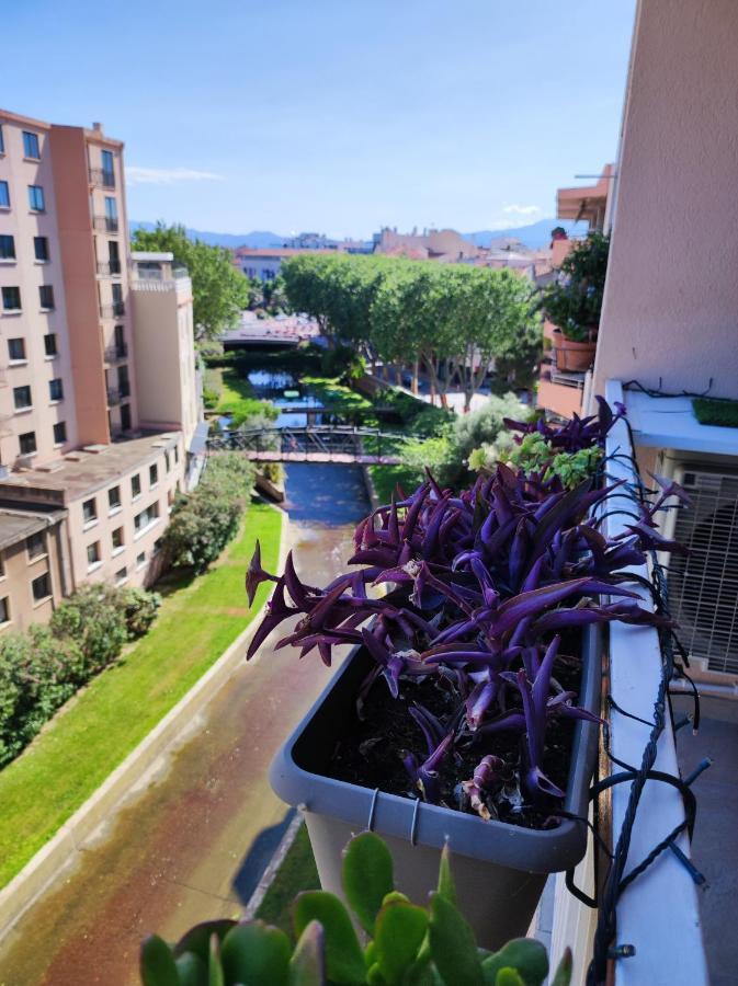 Le Balcon De La Basse Centre Ville De Perpignan Eksteriør bilde